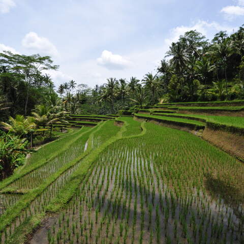 Benoa, Bali cruise port