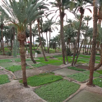 Aqaba