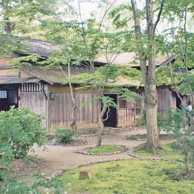 Akita