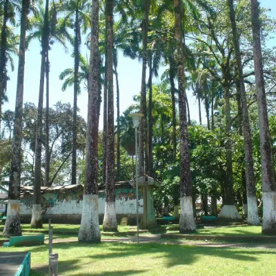 Puerto Limon