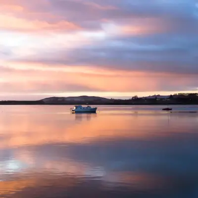 Tauranga