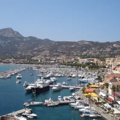 Calvi