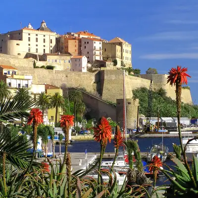 Calvi