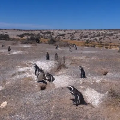 Puerto Madryn