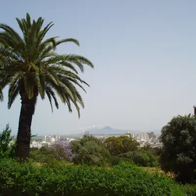Tunis