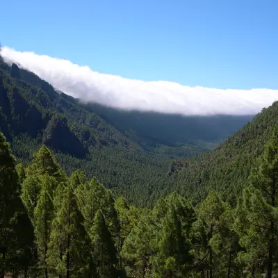 La Palma