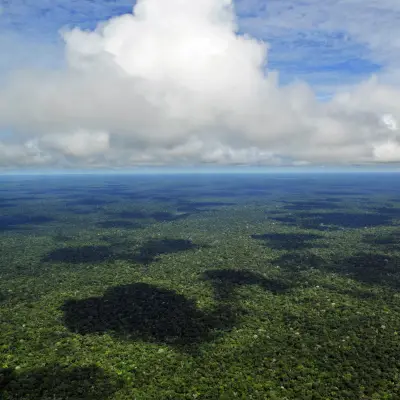 Manaus