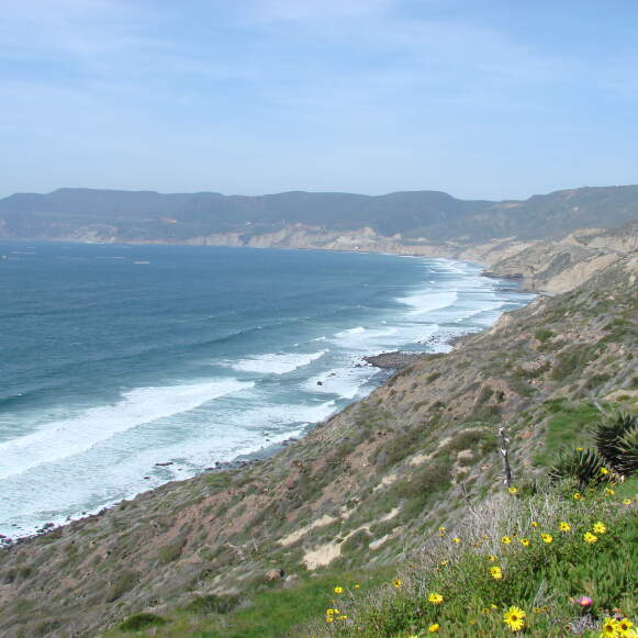 7 Night Ensenada, Cabo & Mazatlan Cruise
