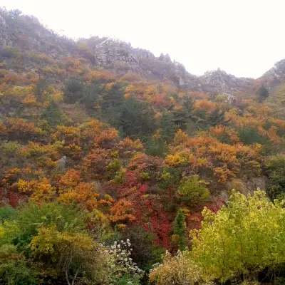 Day 5: Dalian