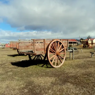 Day 6: Punta Arenas