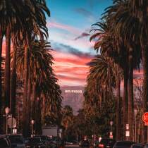 31 0 210 City
