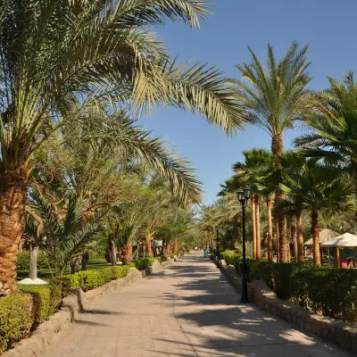 Day 20: Sharm el-Sheikh