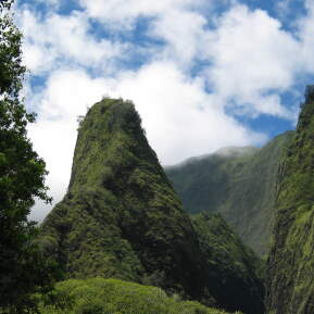 Background Image for Hawaiian Cruises