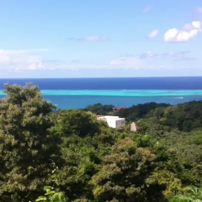 Day 4: Roatan