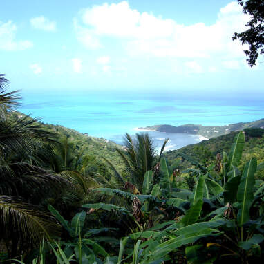 Background Image for Caribbean Cruises