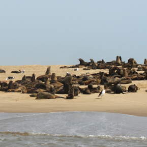 Background Image for African Cruises