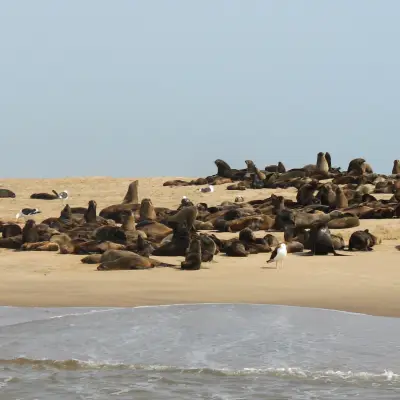 Day 24: Walvis Bay