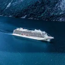 Viking Vela
