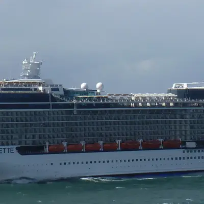Celebrity Silhouette