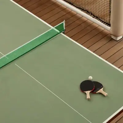 Ping Pong Table