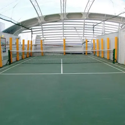 Ping Pong Table