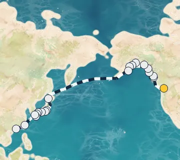35 Night Vancouver to Hong Kong cruise