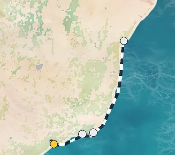 4 Night Sao Paulo to Salvador cruise