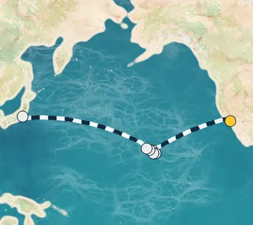 19 Night Los Angeles to Tokyo cruise