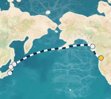 13 Night Seattle to Tokyo cruise