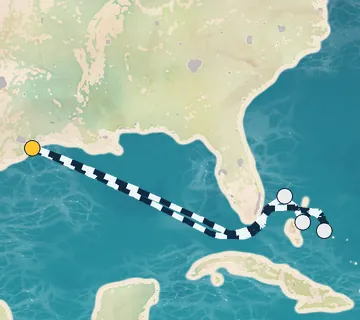 8 Night Galveston to Galveston cruise