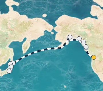 20 Night Seattle to Tokyo cruise