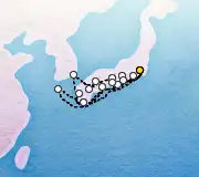 20 Night Tokyo to Tokyo cruise