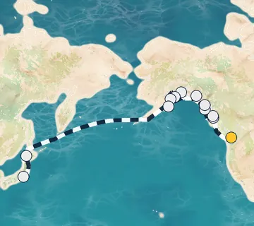 22 Night Vancouver to Tokyo cruise