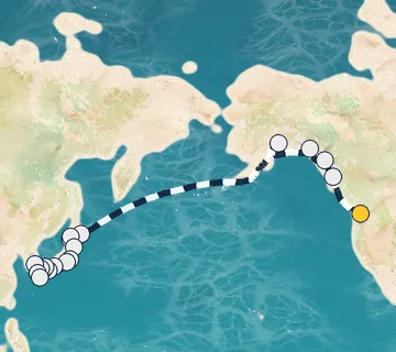 31 Night Seattle to Tokyo cruise