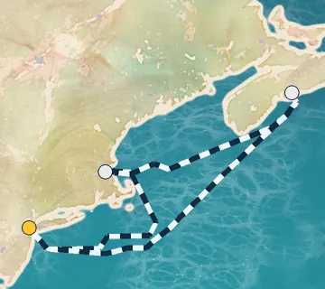 7 Night New York to New York cruise