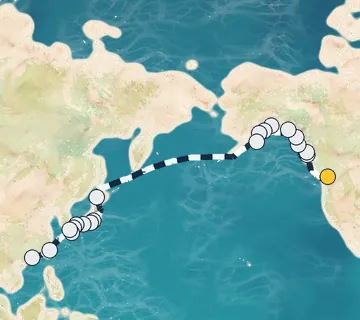 35 Night Vancouver to Hong Kong cruise