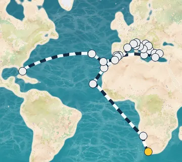50 Night Cape Town to Fort Lauderdale cruise