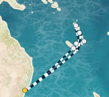 12 Night Sydney to Sydney cruise