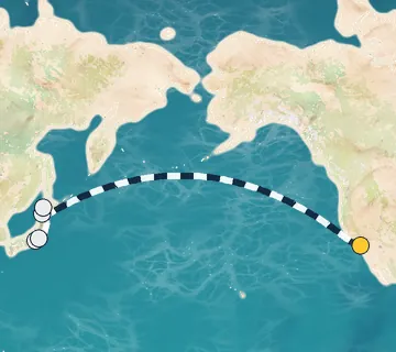 15 Night Los Angeles to Tokyo cruise