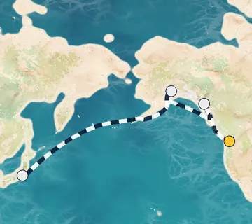 14 Night Seattle to Tokyo cruise