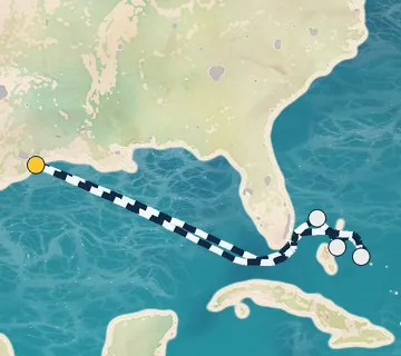 8 Night Galveston to Galveston cruise