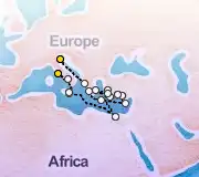 24 Night Venice to Rome cruise