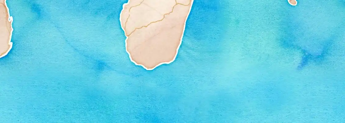 Map of Fort Dauphin port area
