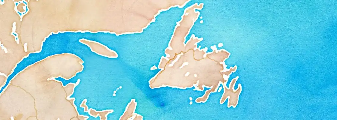 Map of Corner Brook port area