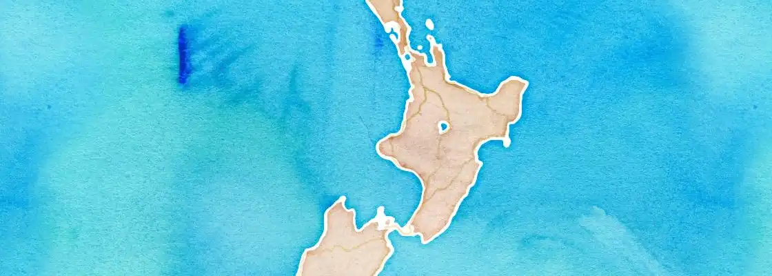 Map of New Plymouth port area