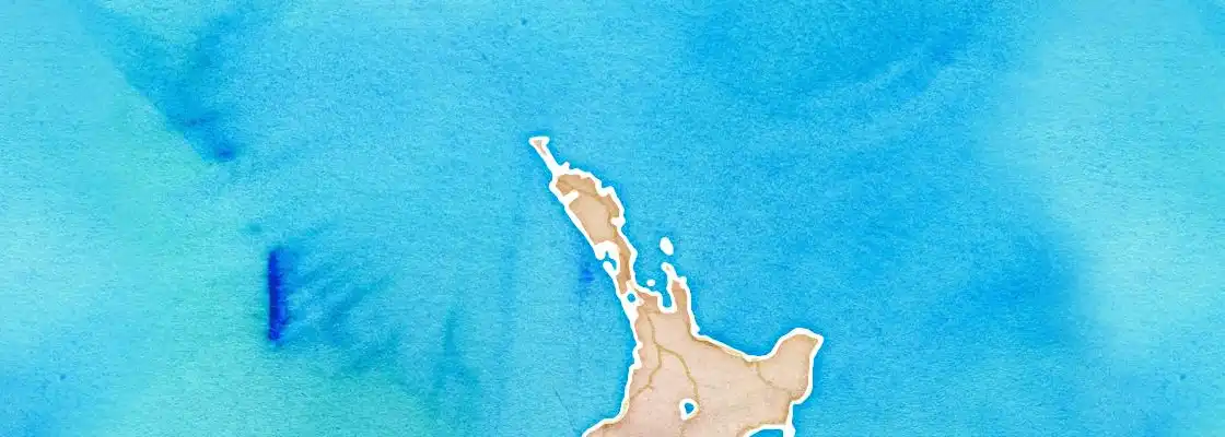 Map of Whangarei port area
