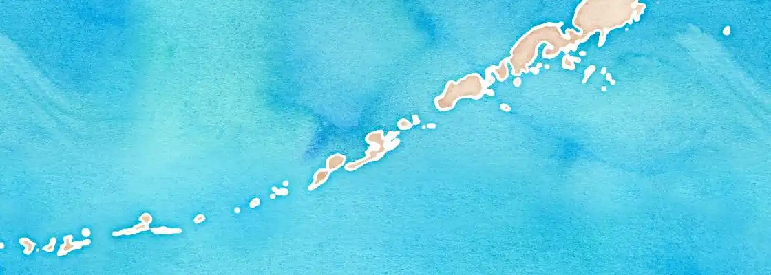 Map of Dutch Harbor port area