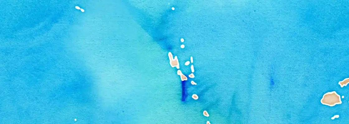 Map of Santo port area