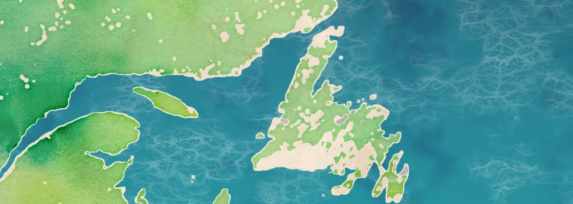 Map of Norris Point port area