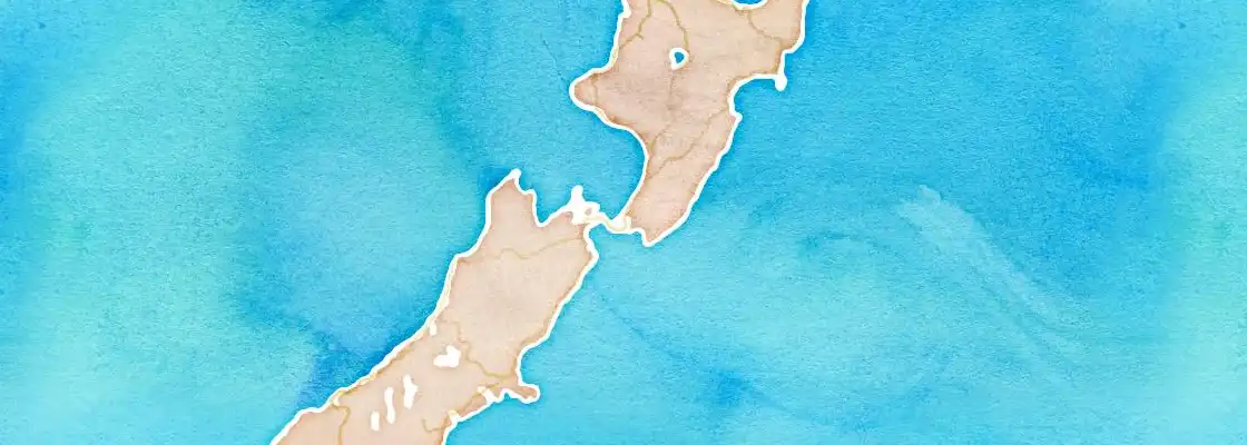 Map of Wellington port area